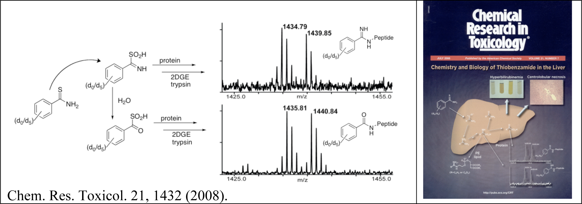 Image 1: Chem. Res. Toxicol. 21, 1432 (2008); Image 2: Cover of Chemical Research in Toxicology journal